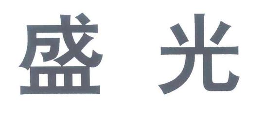 盛光|第42类-网站服务类查询