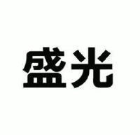 盛光 一场关于光明与繁荣的探索