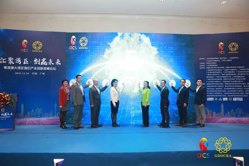 if孵化器亮相2019海交会，盛光闪耀创新舞台